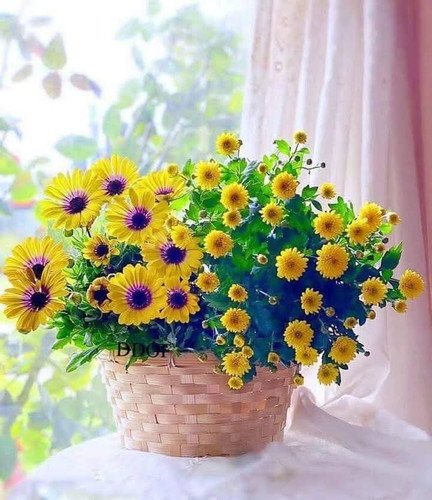 FB IMG 1743312563765.jpg