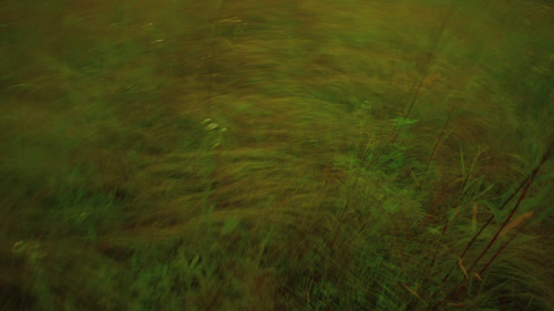 vlcsnap 2025 04 01 12h50m37s371.png