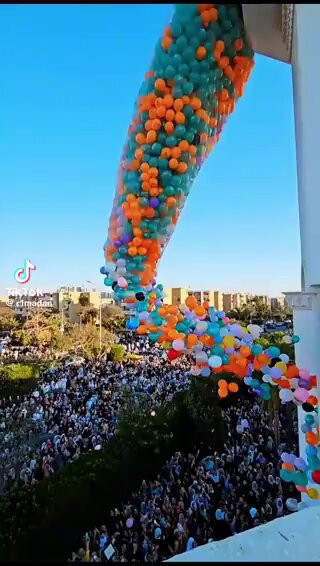 Sj BtRP2nhD VgHG.jpg