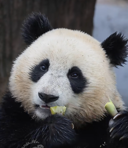 Screenshot 2025 0401 184838.png