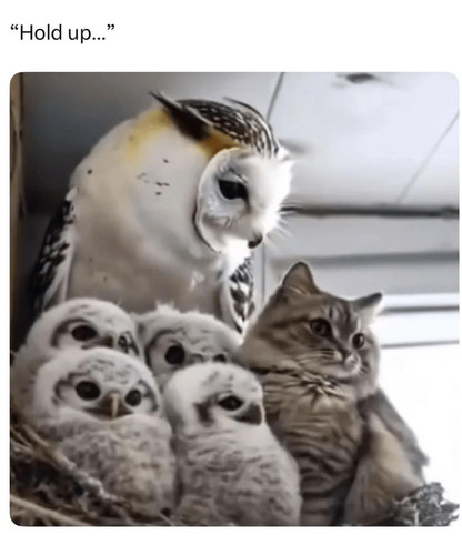 slack imgs 2.jpg