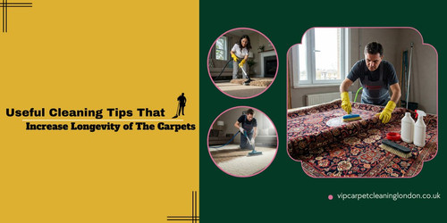 Useful Cleaning Tips That Increase Longevity of The Carpets.jpg