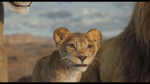 vlcsnap 2025 04 02 01h42m33s714.png