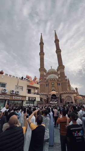 iEEf ajRid7MtgFt.jpg