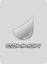 COMMON CARD.png
