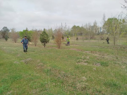 487509440 1084187980407249 6008530232739126066 n.jpg?stp=dst jpg s600x600 tt6& nc cat=106&ccb=1 7& n.jpg