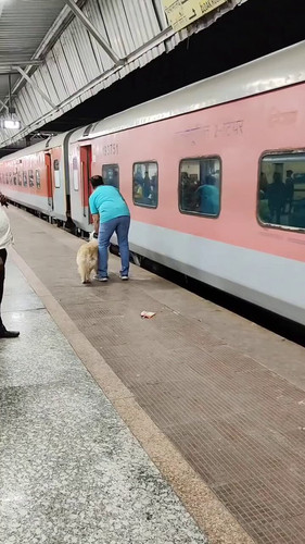 eOfys69gSHa3b1M .jpg