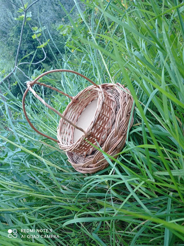 scaled IMG 20250401 183143.jpg