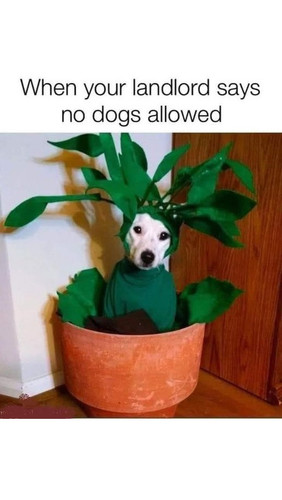 487140564 699599779308169 6184591990395245989 n.jpg