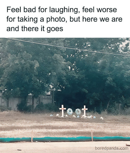 cheerful nihilism memes fb.jpg