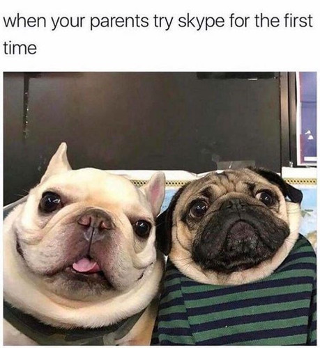 337125844 1700521443738217 94349557162425924 n.jpg