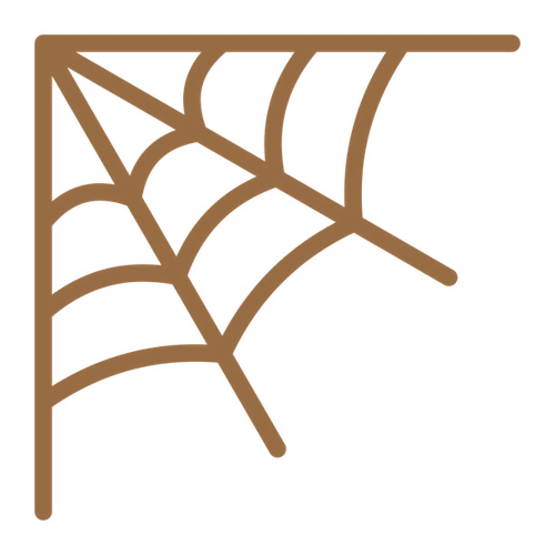 IMG 1725.png