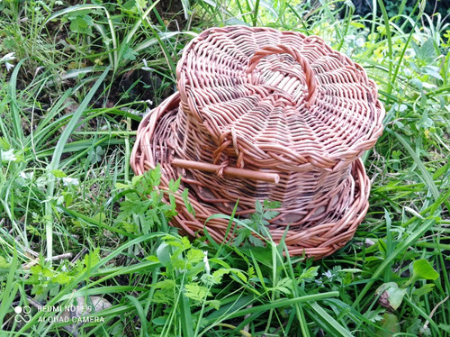 scaled IMG 20250401 181509.jpg