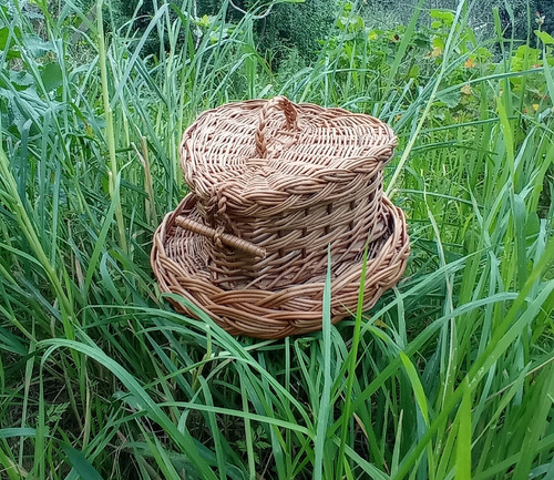 scaled IMG 20250401 195511.jpg