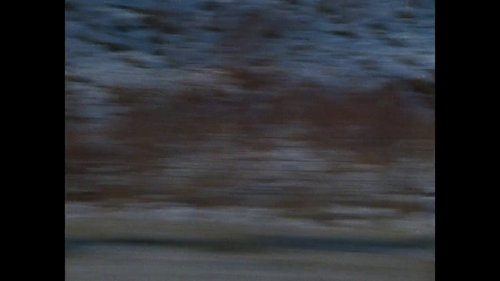 vlcsnap 2025 04 01 20h59m05s305.png