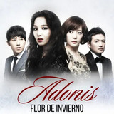 Adonis Flor de Invierno.jpg