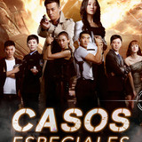 sscase1 series image 2x3 es 1080x1620 es 0