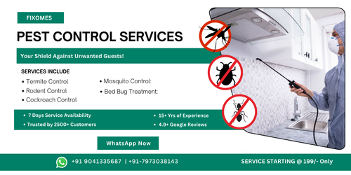 Advantages of Pest Control Services in Chandigarh  Call 7973038143.png