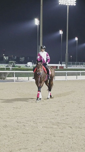 Dx5 fExSvMLIJlHG.jpg