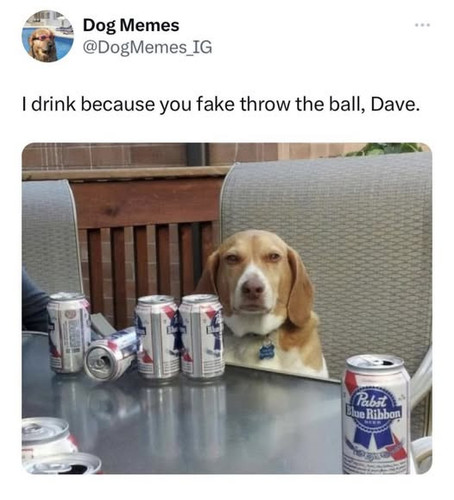 487691454 705192472182128 622455099590716743 n.jpg