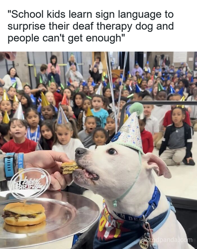 aabcb417 b03e 4e82 976f 4fd7d744defe.png