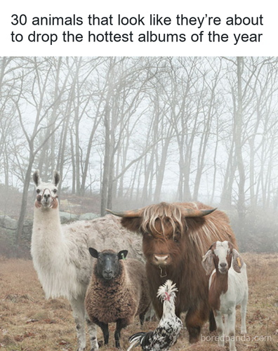 c6f5f5d9 bba5 4e81 96e2 2d9e73c8dfea.png