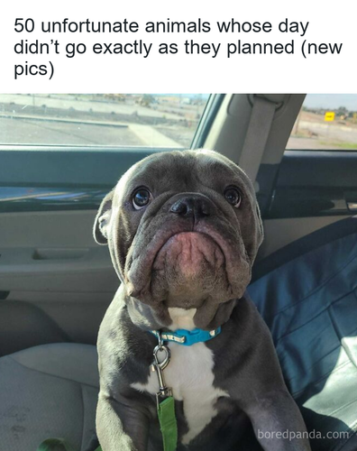 03d7f5a8 06bd 4c34 a247 7973454c1723.png