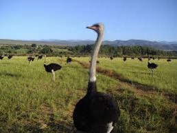 4488bd00 eb69 412d ae4b b27b858784ac.jpg