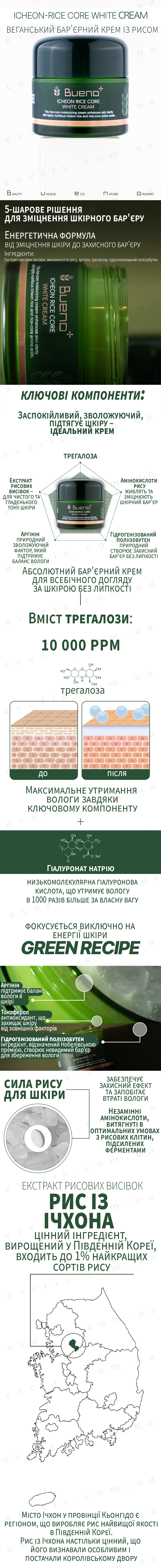 1 копия
