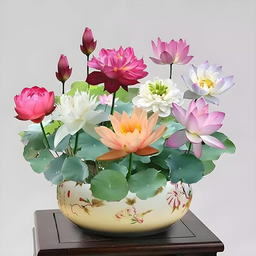 71z9xK0tUuL. SX679 .jpg