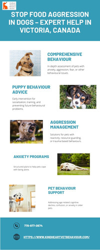Stop Food Aggression in Dogs – Expert Help in Victoria, Canada.jpg