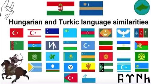 G8Kv o5TK3SXCvHy.jpg