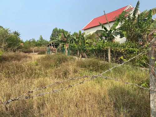 487941970 1214631050450616 8397073429339946482 n.jpg