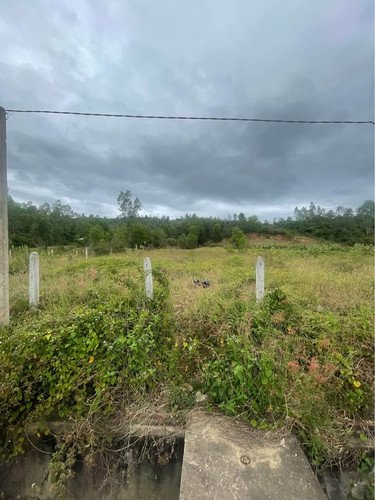 488221497 1214632347117153 6154090540345277929 n.jpg