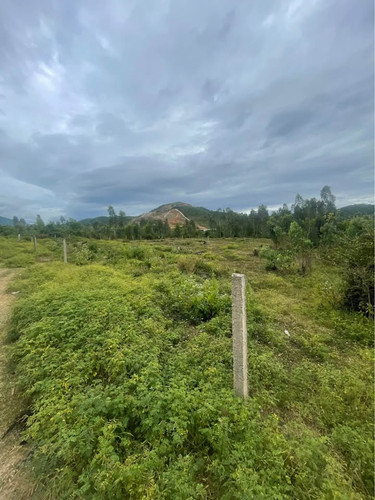 488601662 1214632343783820 1760908381508850209 n.jpg