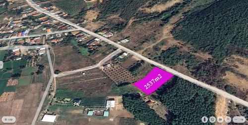 488641906 1214632340450487 6369266117690328919 n.jpg