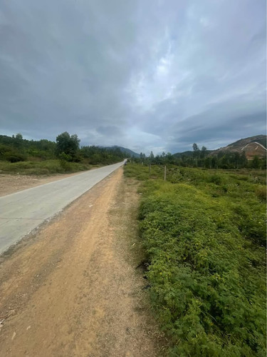 488180946 1214632333783821 8233747102702077080 n.jpg