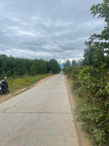 488641818 1214632337117154 2290011391712889012 n.jpg