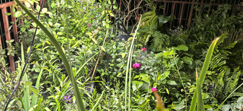 IMG 20250401 000456.jpg