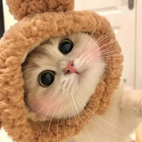 0fcfa37b0b7bb4bb987c640b90dd5d88 (4).jpg