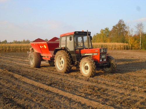 IHC 844 beim Kalk streuen Okt. 2011 (3).jpg