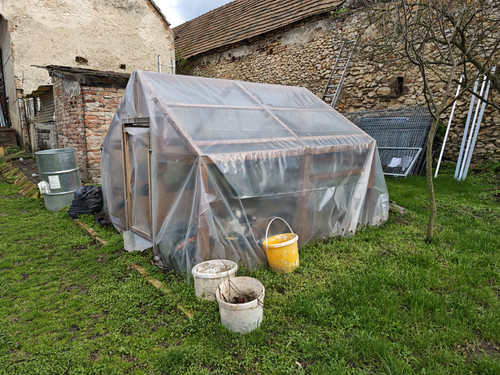 IMG 20250331 145412.jpg