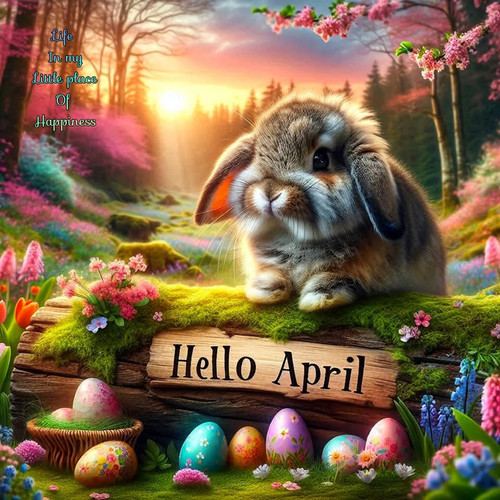 FB IMG 1743497218401.jpg