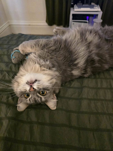 67c056a981fd7 bhwcxjpim2ge1 700.jpg