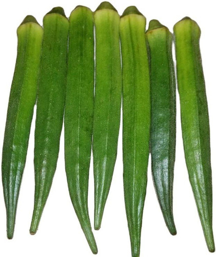 150 ktk 11n okra lady finger gre.jpg