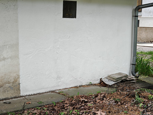 IMG 20250513 141219.jpg