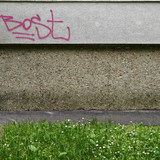 IMG 20250513 141521