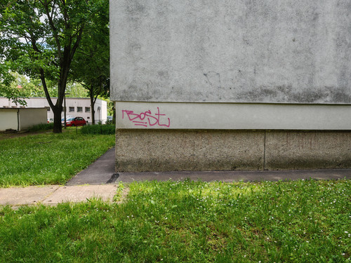 IMG 20250513 151345.jpg