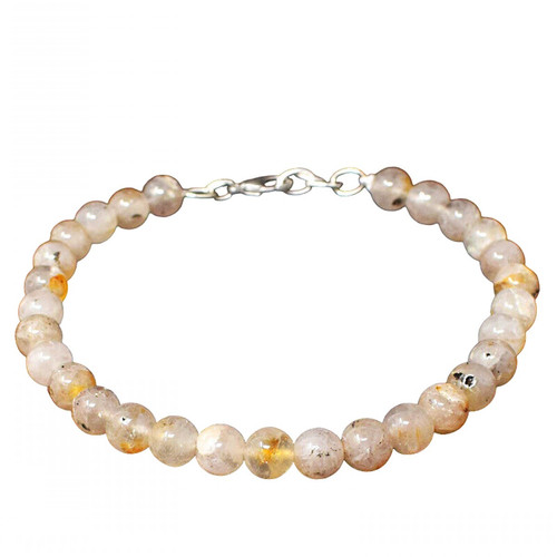 an.1 PhotoRoom.png PhotoRoom.jpg