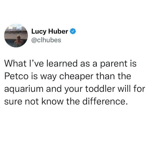 497164724 18277017484261452 2794953047546140295 n